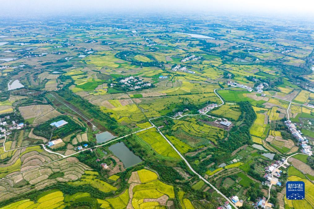 糖果派对试玩2000体验金